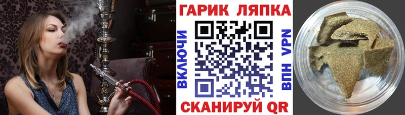ГАШ Изолятор  Мещовск 