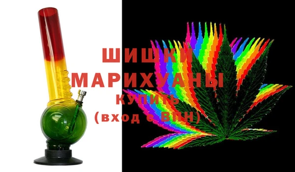 хмурый Алексин