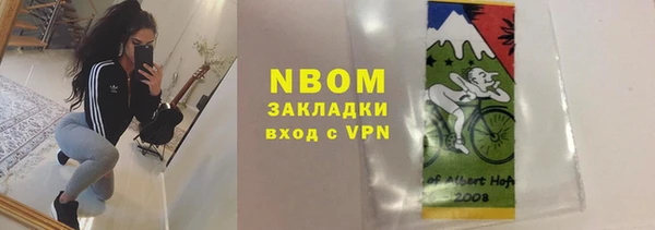 хмурый Алексин