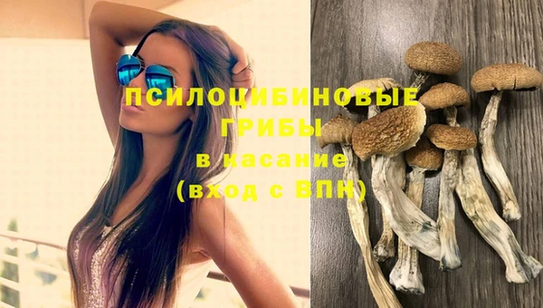 спиды Алексеевка