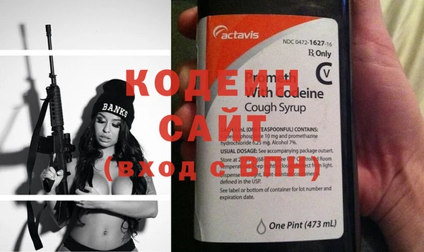 хмурый Алексин
