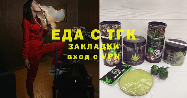 хмурый Алексин