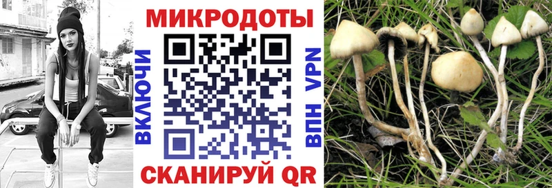 Псилоцибиновые грибы прущие грибы  где купить   omg зеркало  Мещовск 
